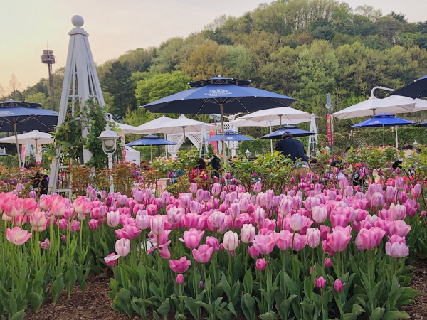 [크기변환]KakaoTalk_20190622_222550511.jpg
