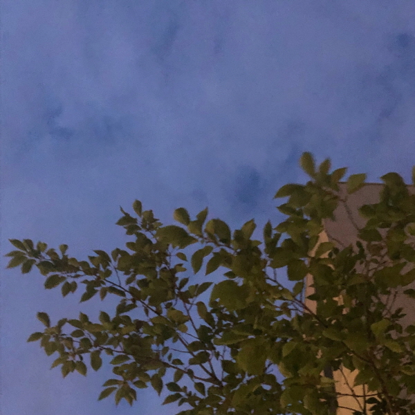 [크기변환]KakaoTalk_20190622_222231928.jpg