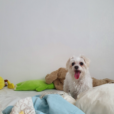 변환_KakaoTalk_20190623_160046841.jpg