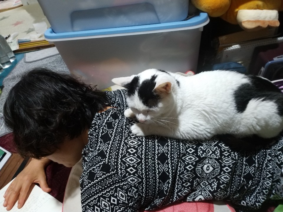 KakaoTalk_20190604_232729389.jpg