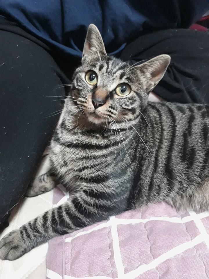 KakaoTalk_20190610_063904083.jpg