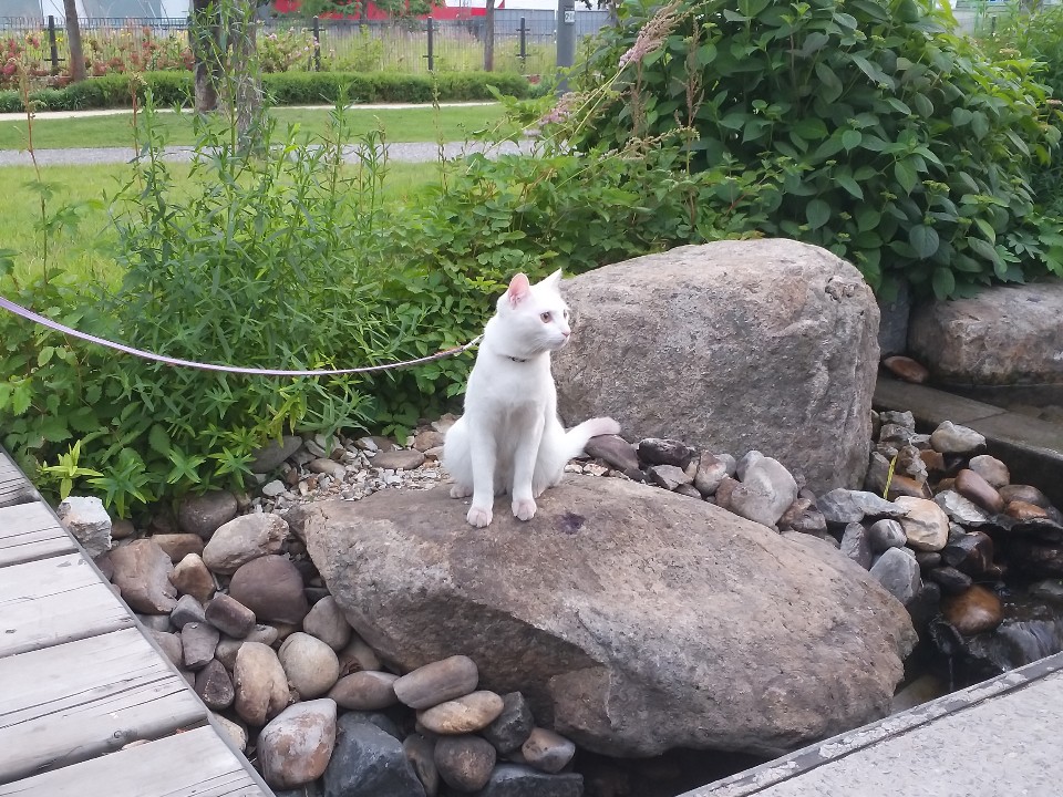 KakaoTalk_20190610_063902264.jpg