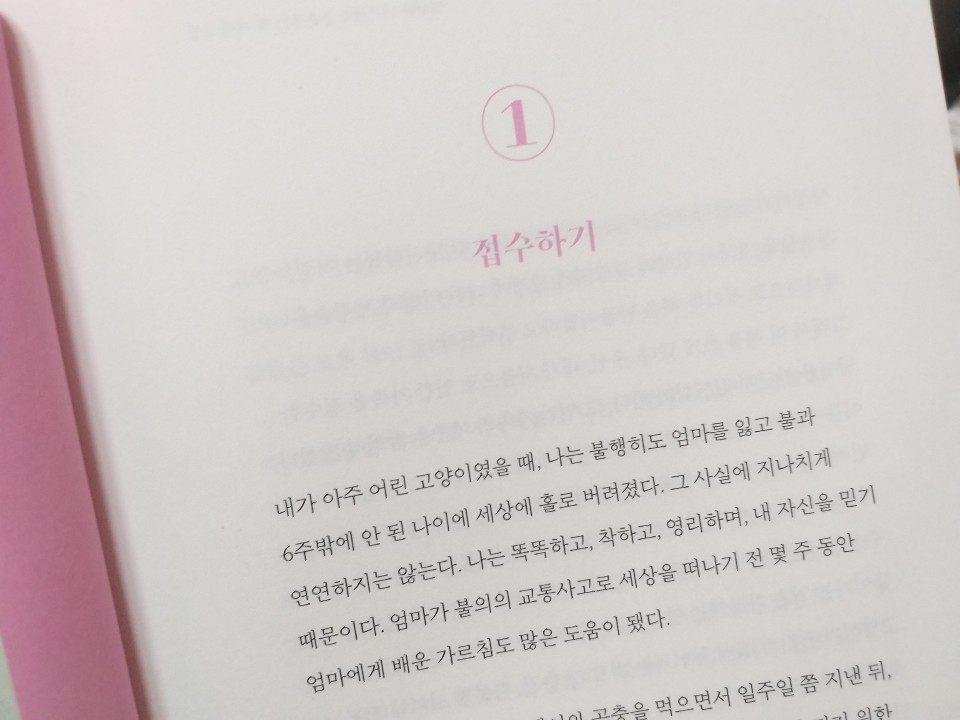 KakaoTalk_20190609_195405097.jpg
