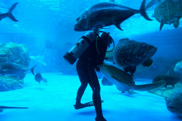 fish-aquarium_38810-5094.jpg