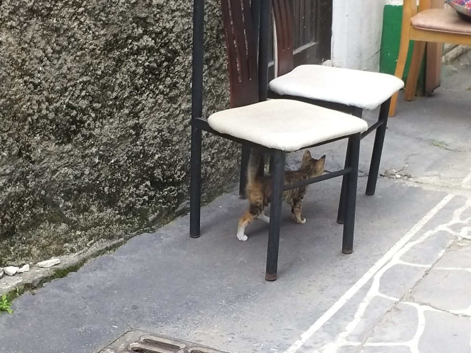 KakaoTalk_20190715_111429709.jpg