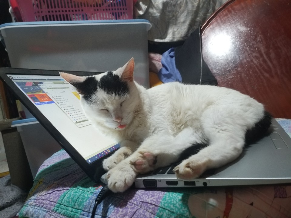 KakaoTalk_20190706_160328089.jpg