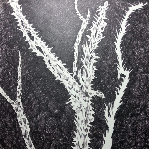 화분2.jpg