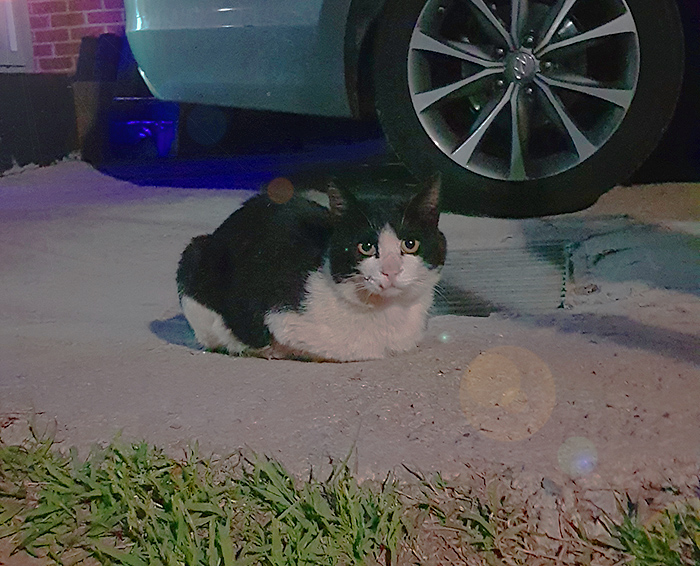 KakaoTalk_20190706_163525787.jpg