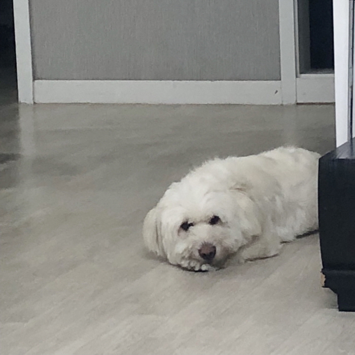[크기변환]KakaoTalk_20190814_013618208.jpg