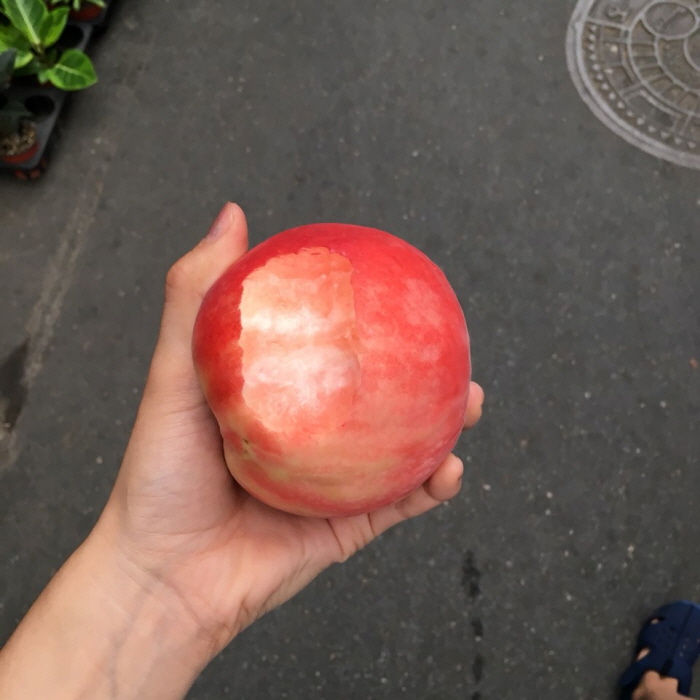 KakaoTalk_20190810_151424952_05.jpg