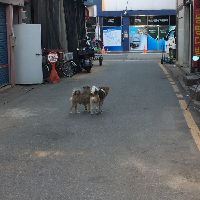 KakaoTalk_20190810_151424952_06.jpg
