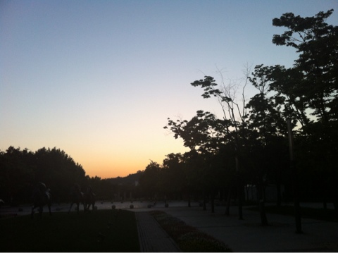 iPhone_078.jpg