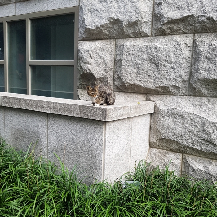 크기변환_KakaoTalk_20190825_184200057.jpg