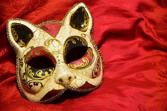 mask-2093386_640.jpg