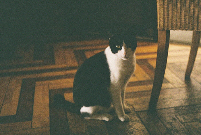 000030 (2).JPG