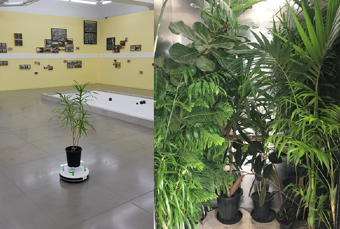 KakaoTalk_20190802_104923627.png