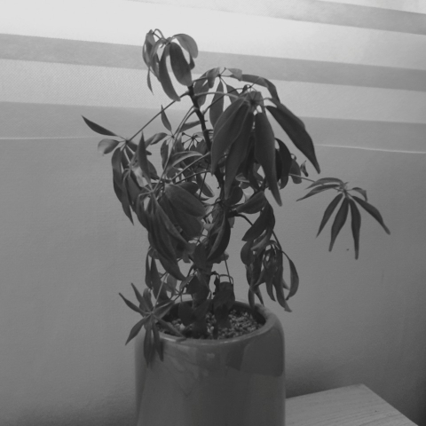 변환_KakaoTalk_20190818_164524942.jpg