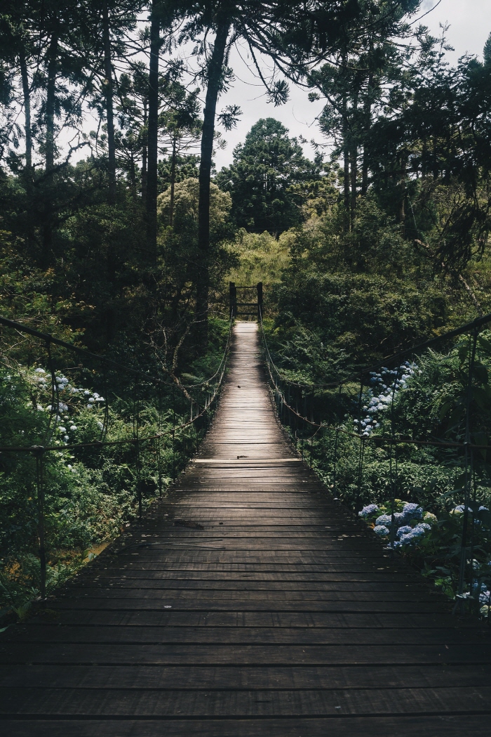 [크기변환]bridge-daylight-environment-775201.jpg