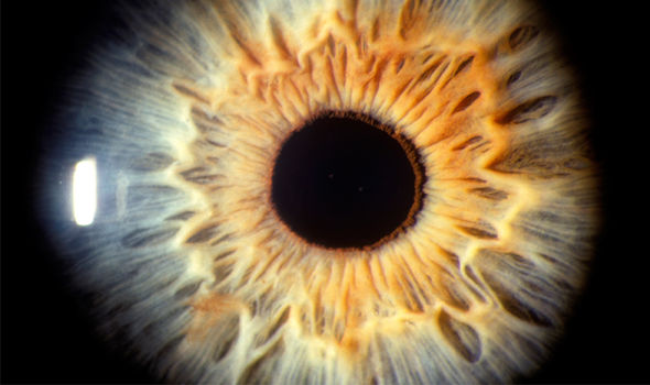 Eye-sight-gene-therapy-1463126.jpg
