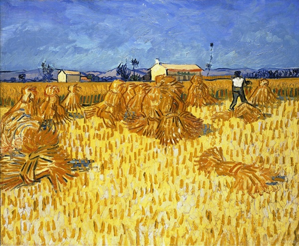 vincent_zm.jpg