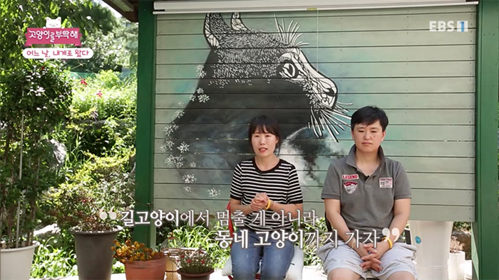 동네고양이까지가자.jpg