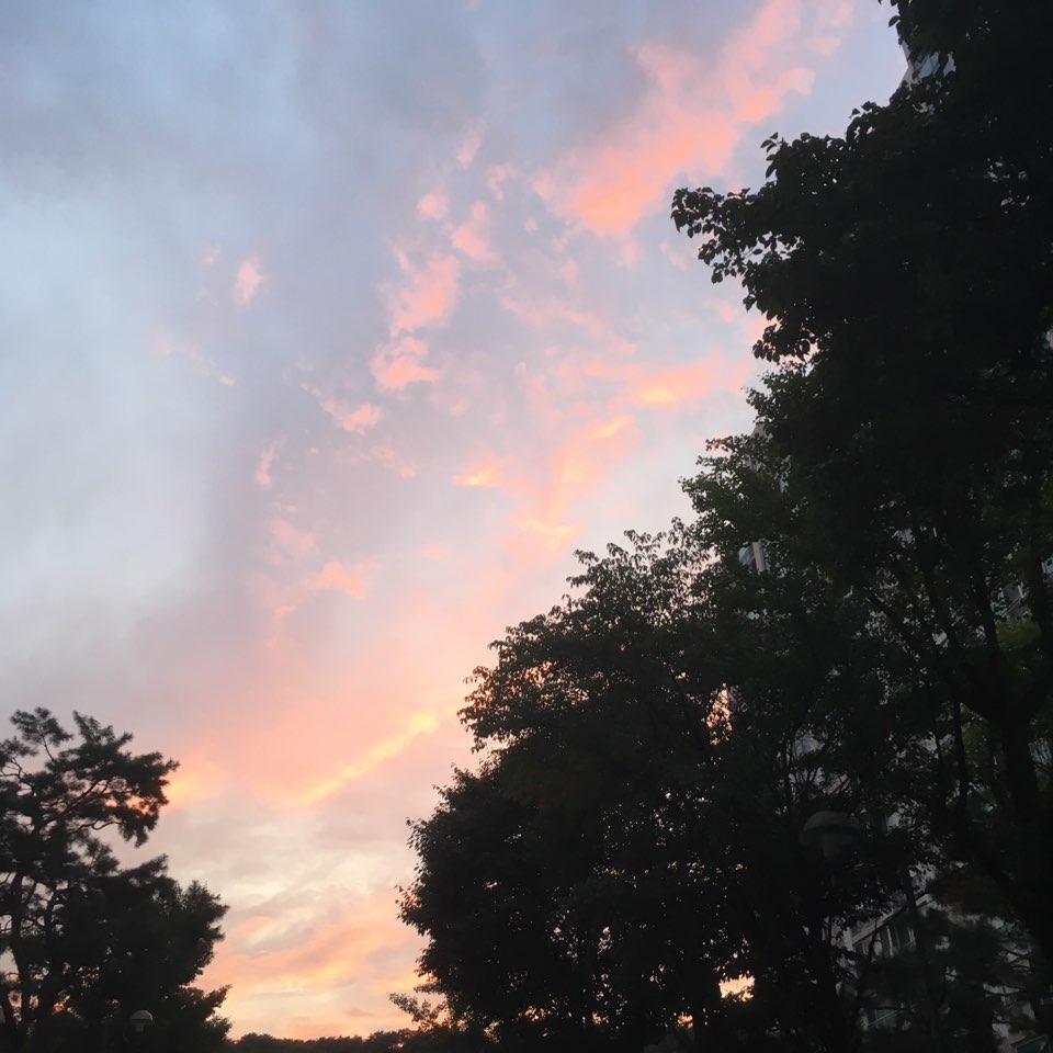 KakaoTalk_20190918_134211960.jpg