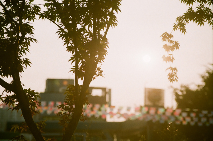 header_0.jpg