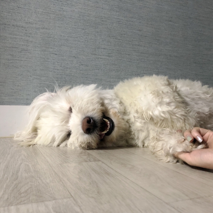 [크기변환]KakaoTalk_20190915_010529358.jpg