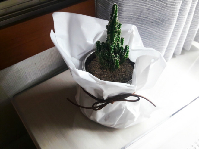 [크기변환]KakaoTalk_20191006_115750839.jpg