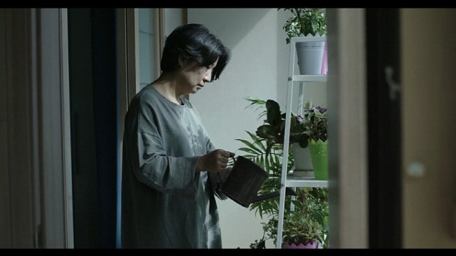 NF_01_Flowerpot.jpg