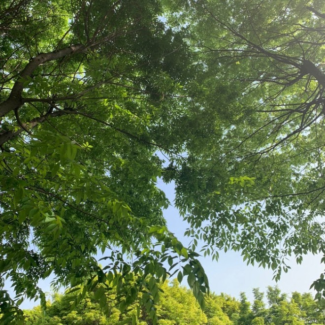 [크기변환]KakaoTalk_20191102_164236398.jpg