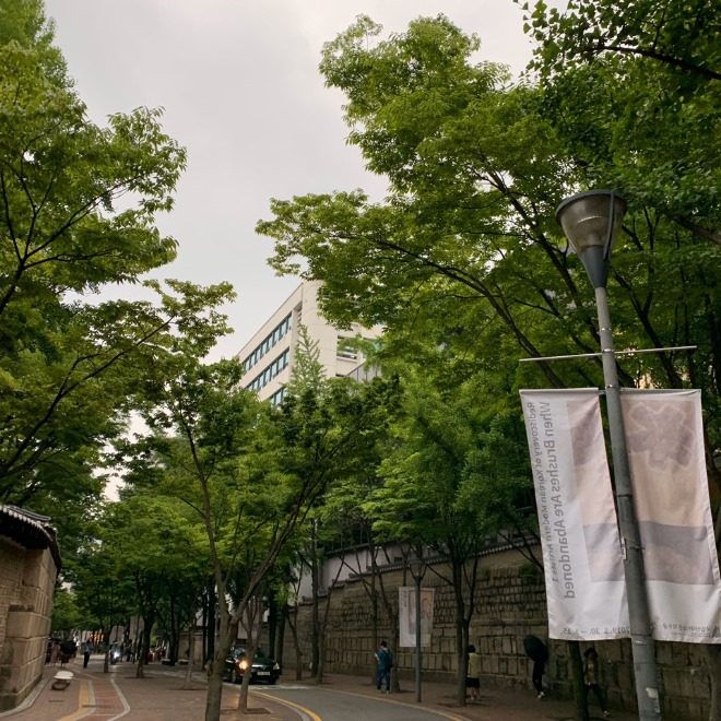 KakaoTalk_20191111_003141548.jpg
