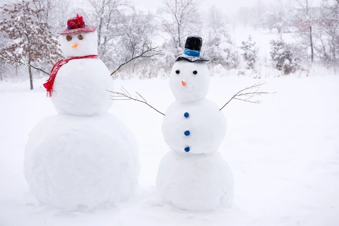 snowmen-2699483_960_720.jpg
