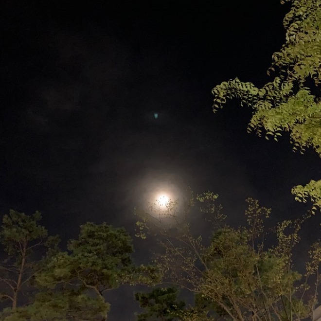 KakaoTalk_20191112_235353662.jpg