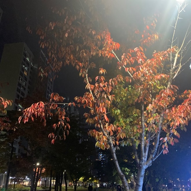 가을.jpg