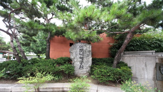 마로니에.jpg