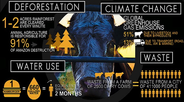 download-2.jpg