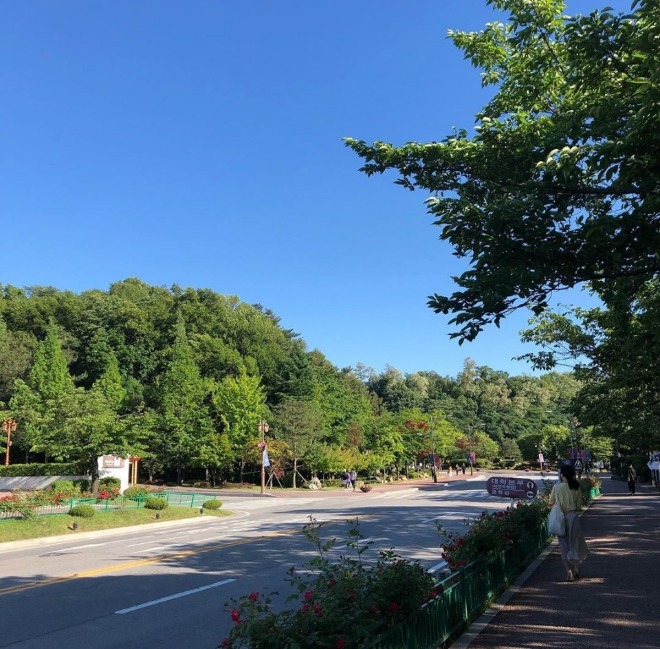 KakaoTalk_20191212_224632066.jpg