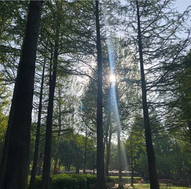 KakaoTalk_20191212_224643447.jpg