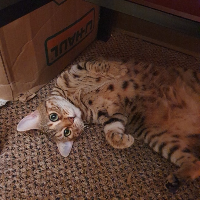 KakaoTalk_20191220_195952362_04.jpg