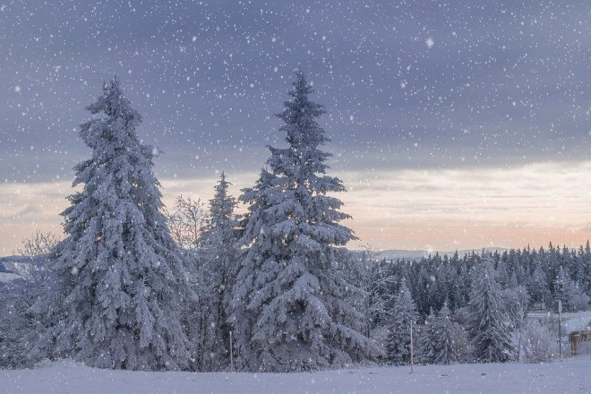 wintry-4532412_960_720.jpg