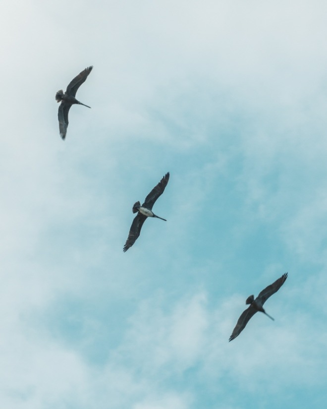 [크기변환]juan-burgos-a_9MoaomSdw-unsplash.jpg