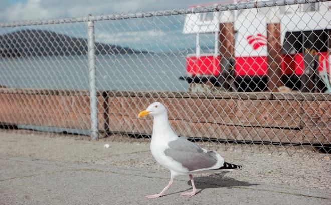 walk.jpg