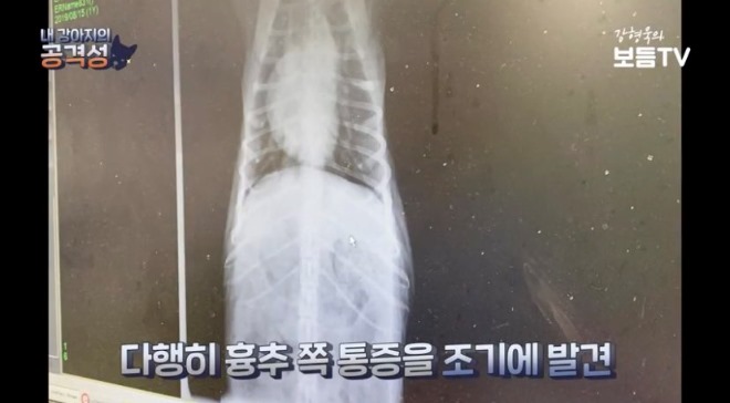 이낙이허리4.jpg