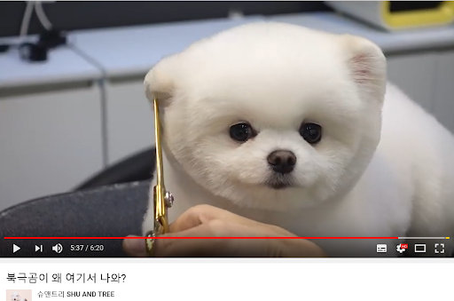 슈엔트리.png