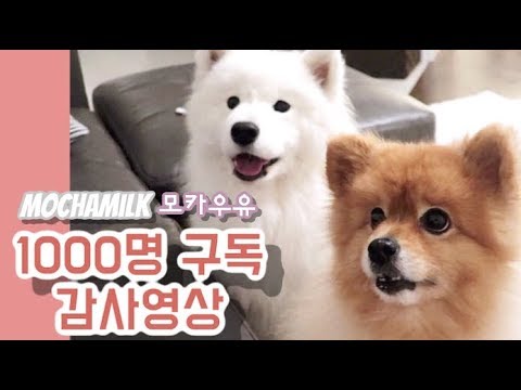 모카우유.jpg