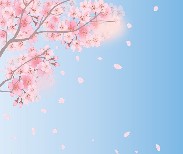 벚꽃.jpg