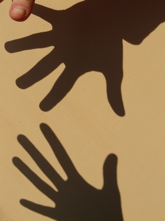 shadow-play-5858_960_720.jpg