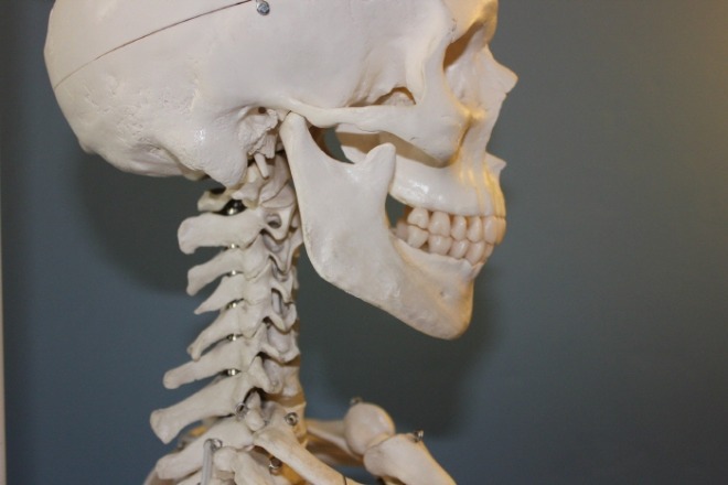 [크기변환]skull-778075_1920.jpg