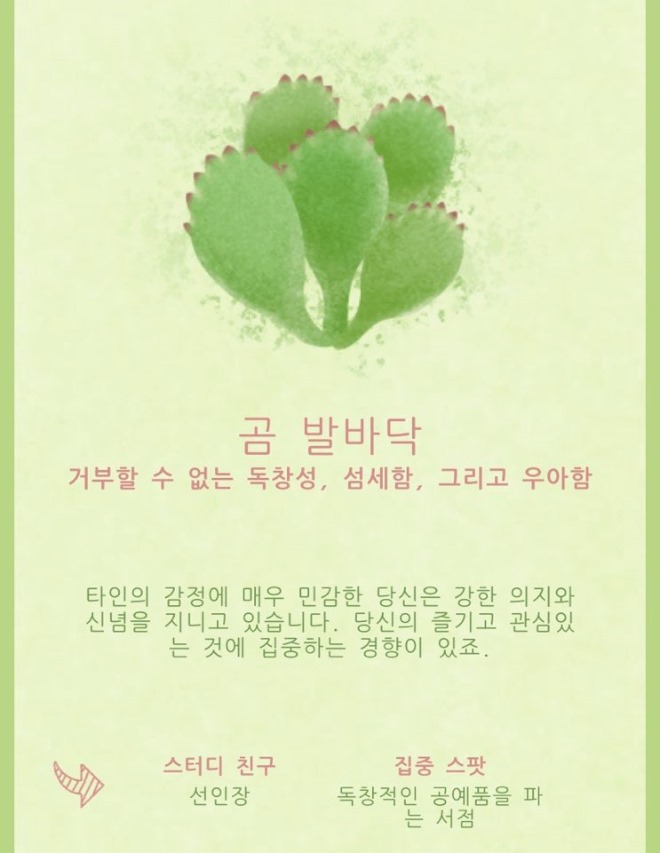 곰발바닥2.jpg